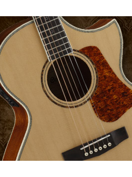 NDX20 (Natural), зображення 8